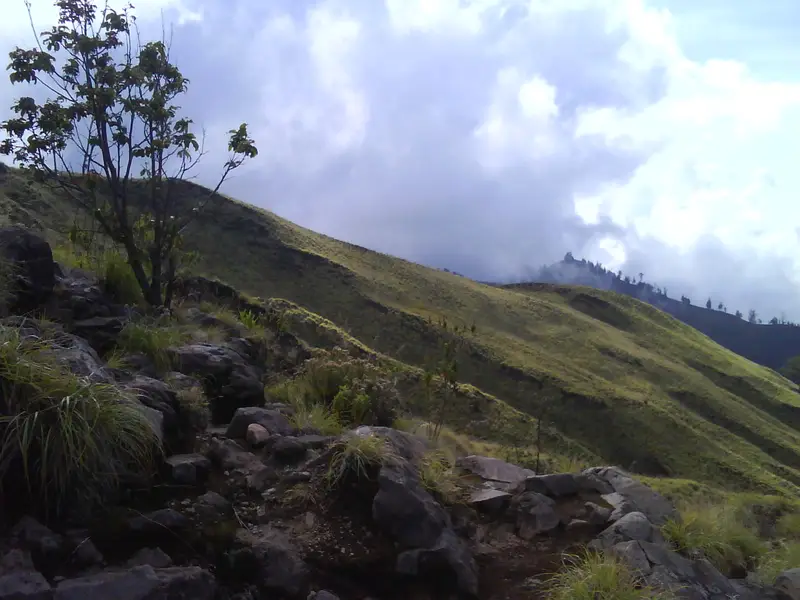 A rocky, grassy path on the approach to the Rinjani crater rim